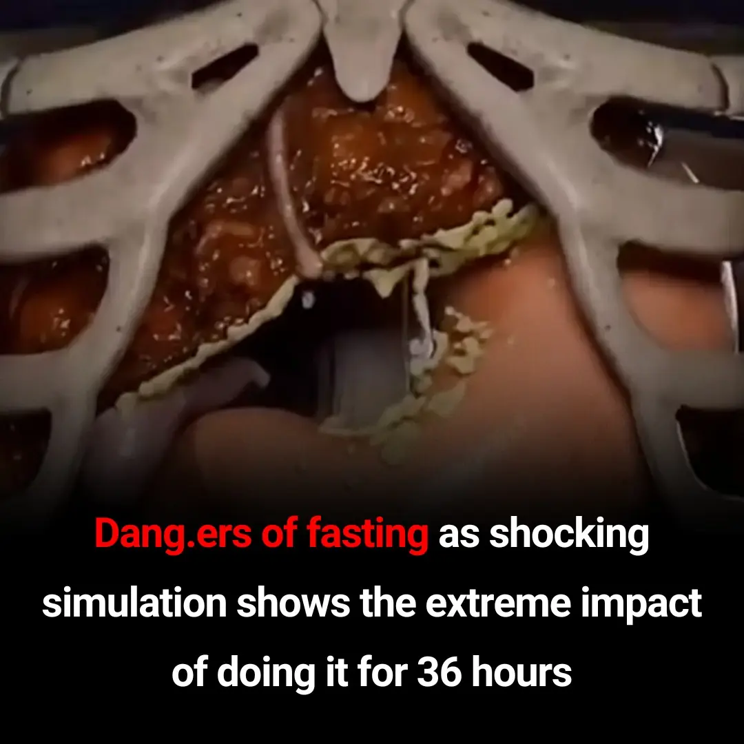 Dangers of 36-hour fasting revealed in shocking simulation