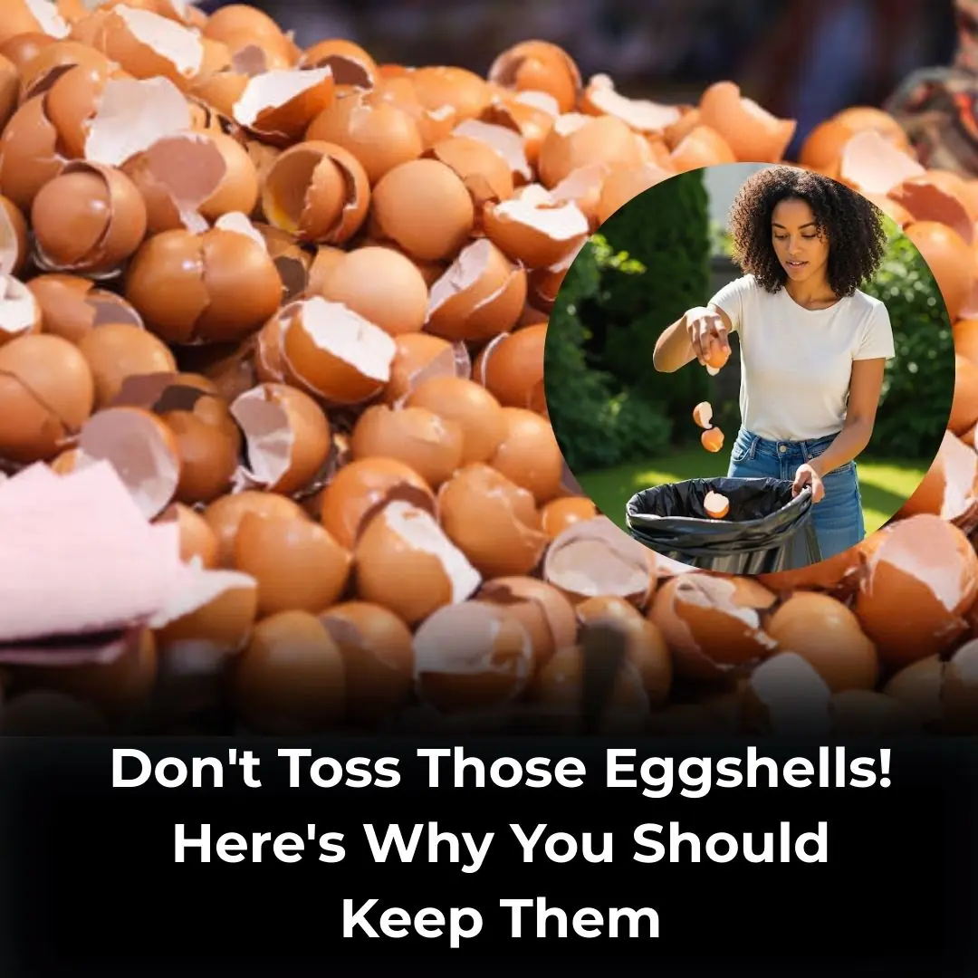 Don’t Toss Those Eggshells: 17 Ways to Reuse Them