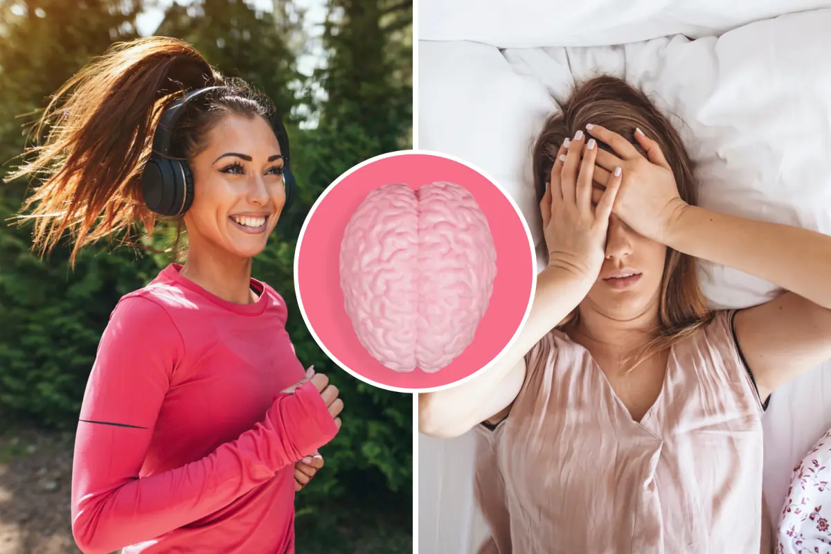 🧠 How Your Brain Today Reflects Your Habits from Two Weeks Ago