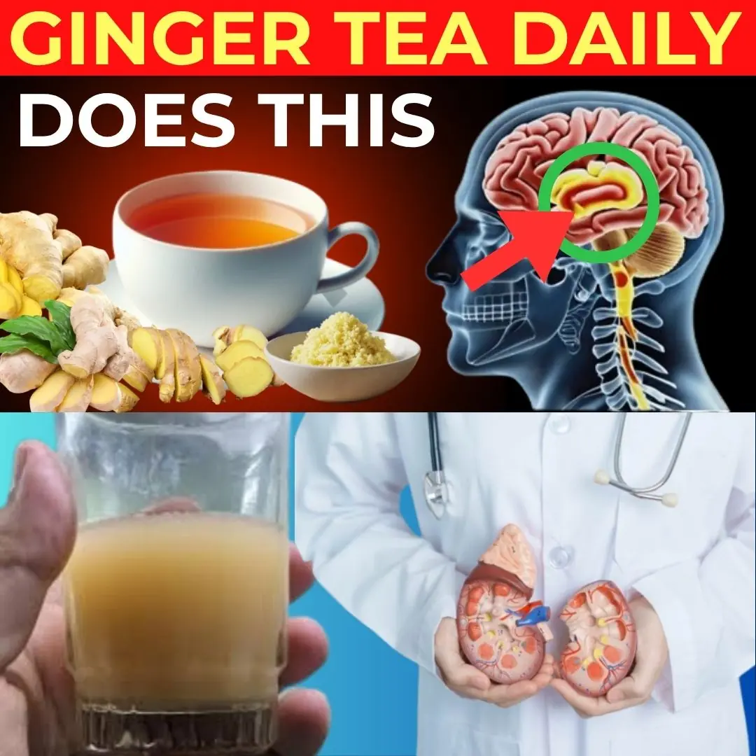 8 Reasons to Drink Ginger Tea Daily (An Impressive Healing Remedy)