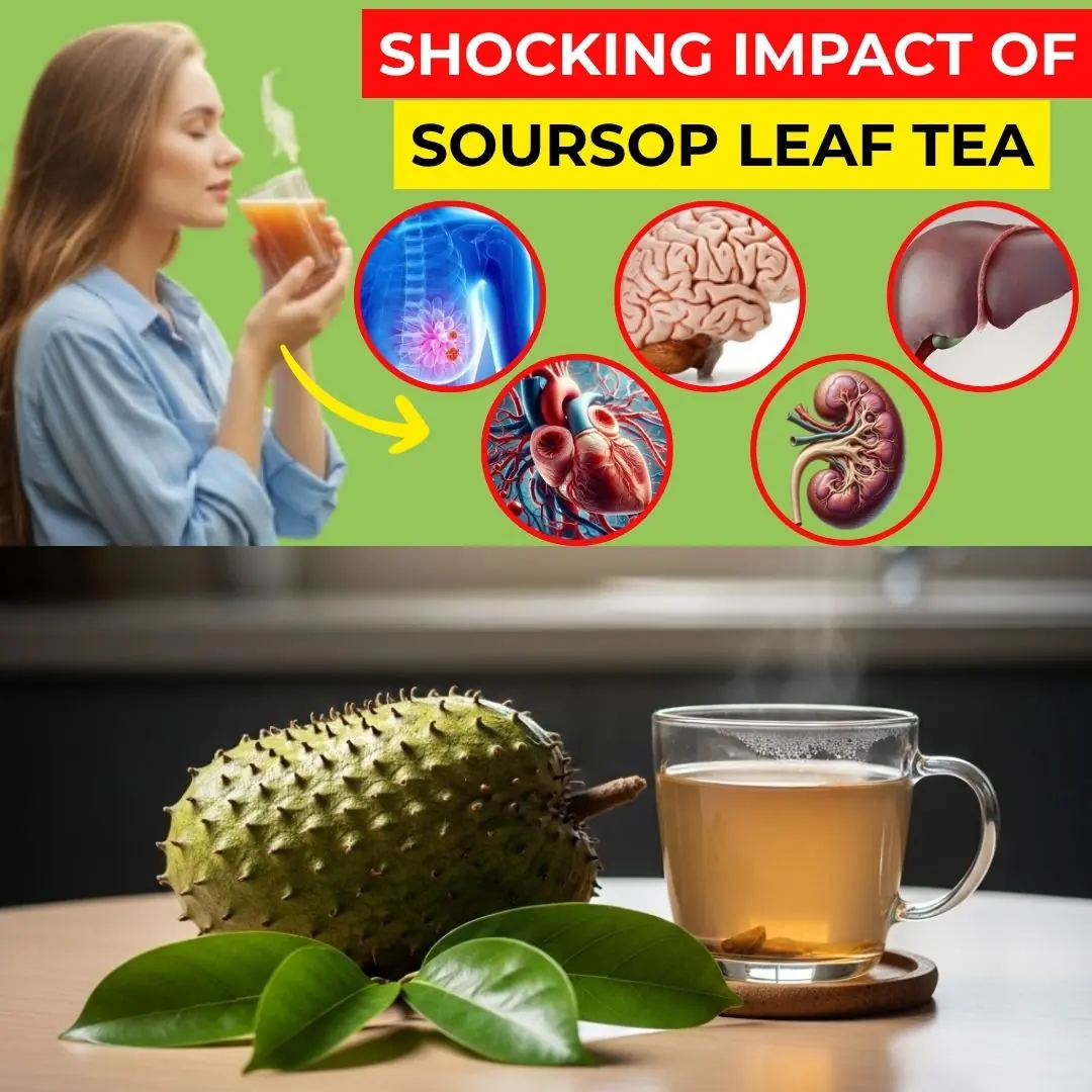 16 Powerful Benefits of Soursop Leaf Tea (Without Losing Its Nutritional Value) Doctors Never Say