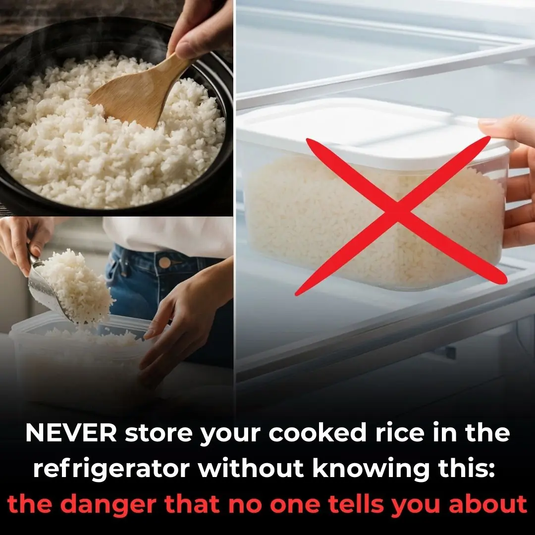 Never store your cooked rice without knowing this