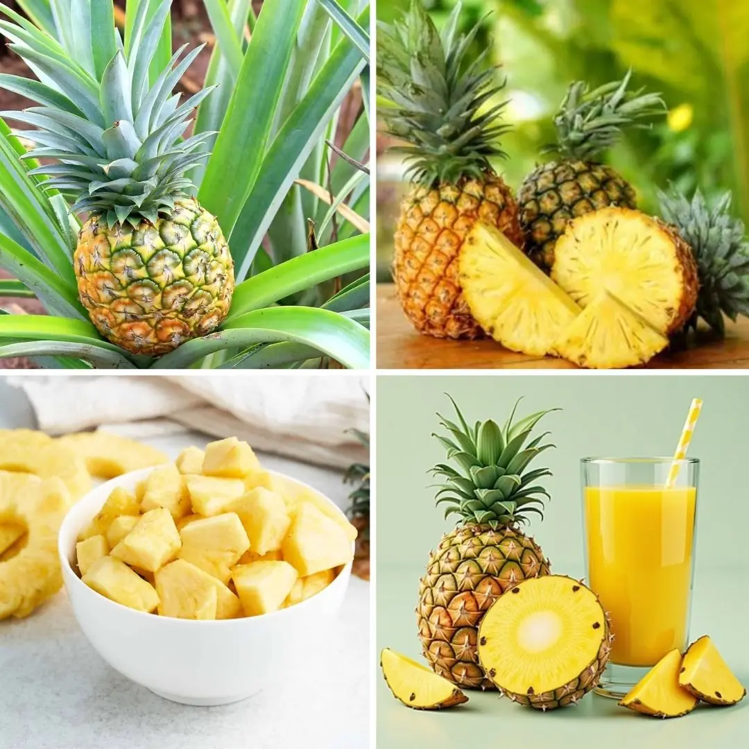 5 Ways To Use Pineapple As A Medicine