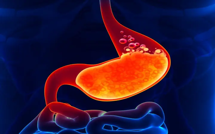 Inside the Chemical War Zone: How Your Stomach Handles Hydrochloric Acid Without Self-Destructing