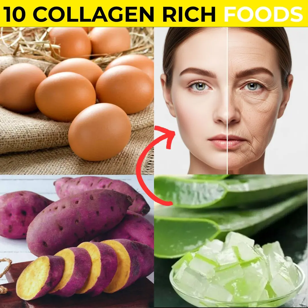 Top 10 Foods Rich in Collagen and Anti-Aging Booster