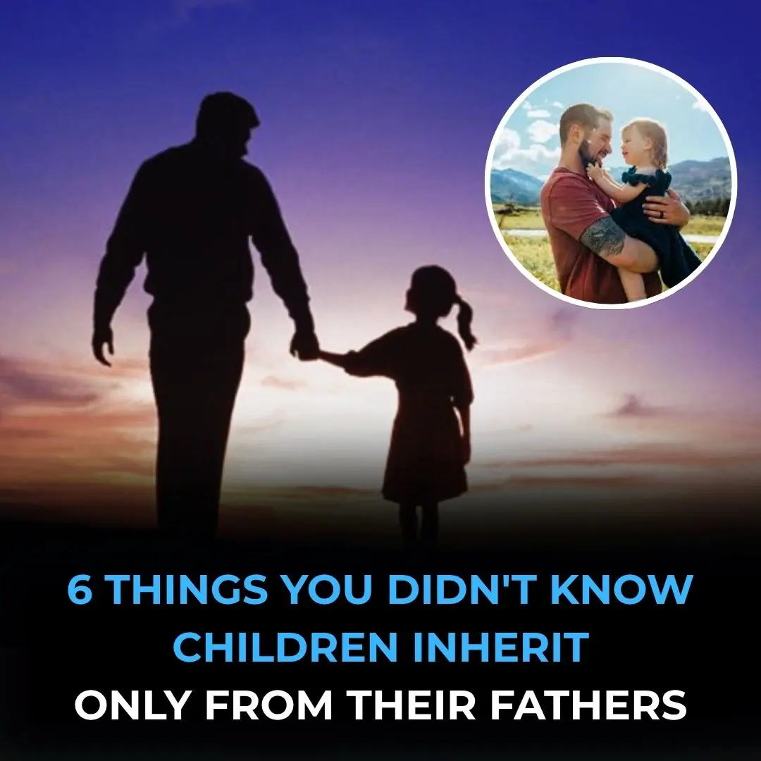 6 Traits You Inherit Exclusively from Your Father