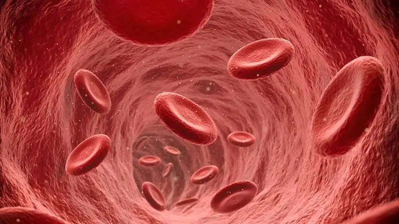 Cancer Doesn’t Hurt at First, But If You Notice These 5 Signs When Using the Bathroom, See a Doctor Early: Don’t Ignore Them