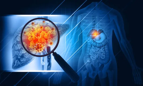 Early Warning Signs of Liver Damage — And How to Protect and Strengthen Your Liver Naturally
