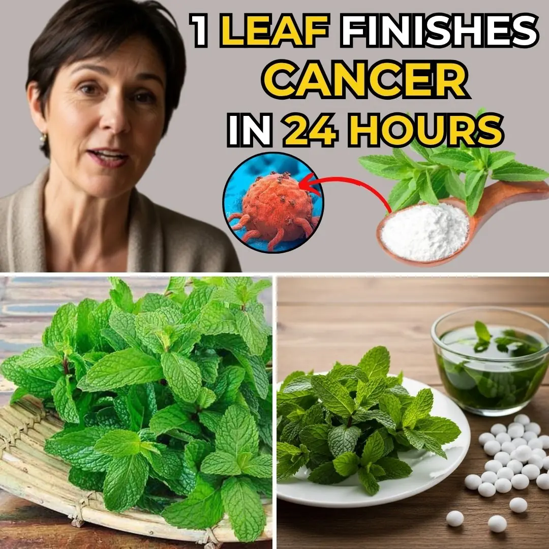 How People Over 50 Can Supplement Fiber for Better Health
