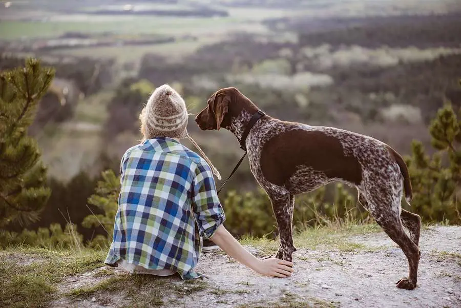 My Mother-in-Law’s Dog Turned My Life Upside Down — So I Fought Back with One Brilliant Move