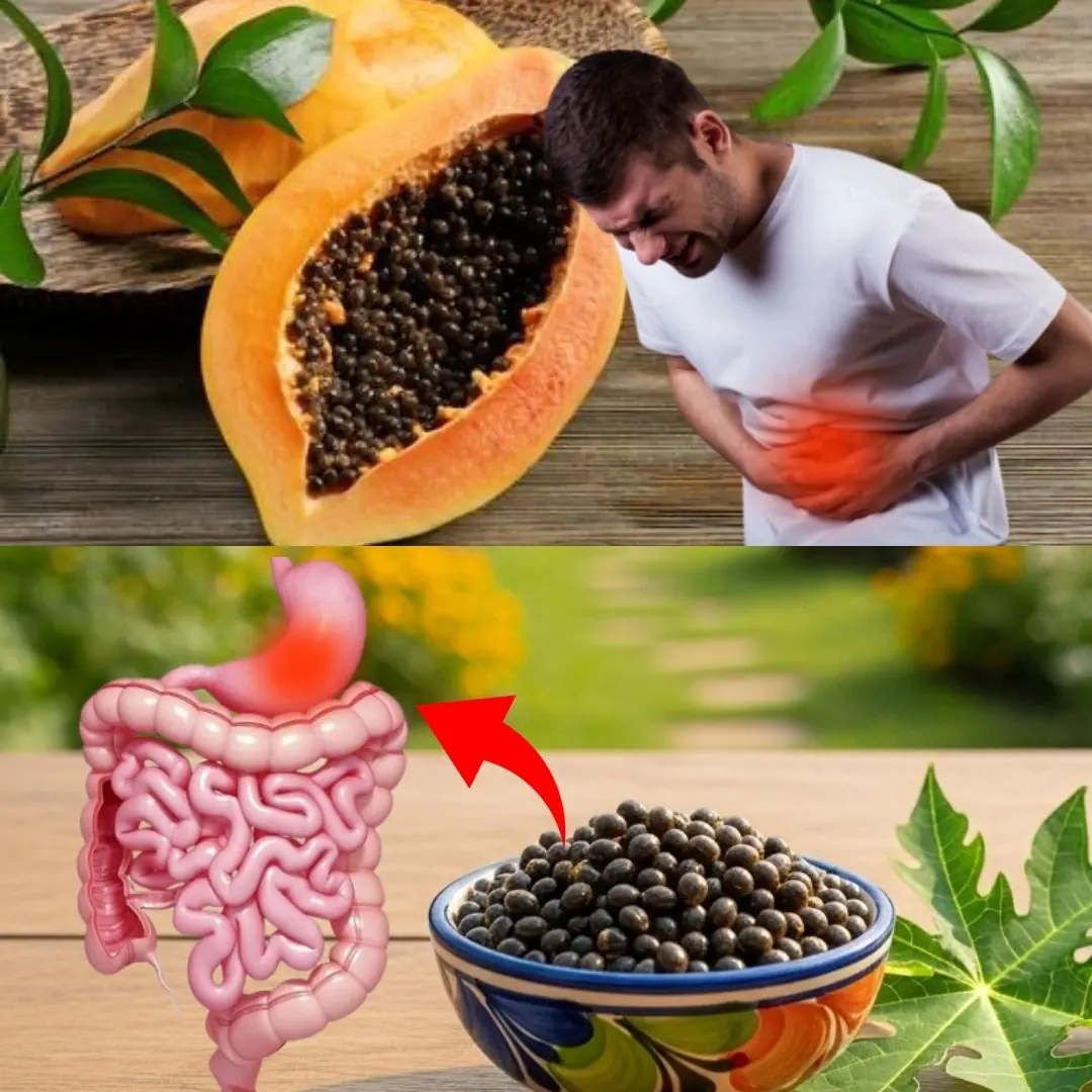 15 Health Benefits of Papaya Seeds and How to Use Them