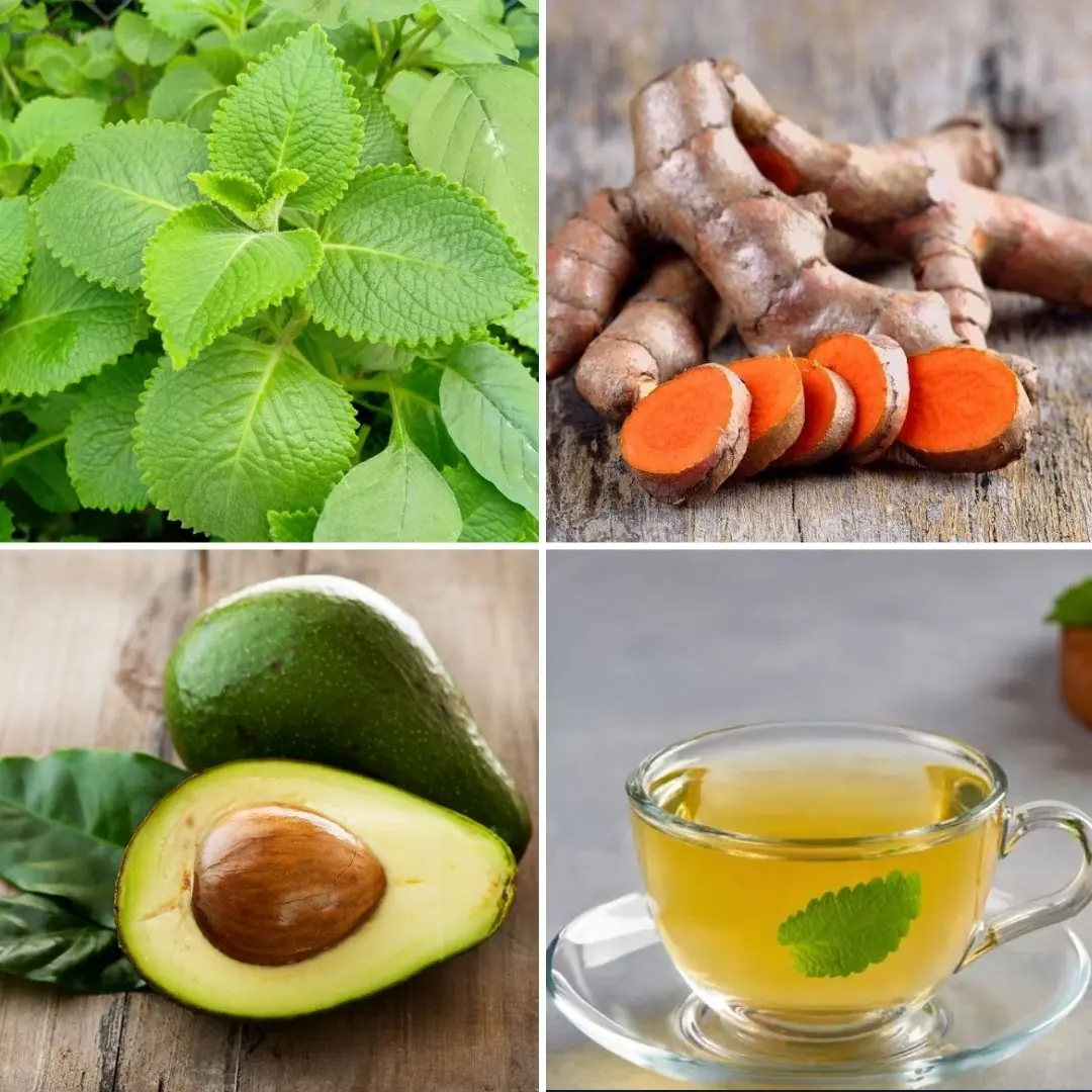Doctor Frank Suárez’s Natural Remedy to Eliminate Diabetes, Poor Circulation, Fatty Liver, Pancreas Issues, High Blood Pressure, Knee Pain, and Even Cancer