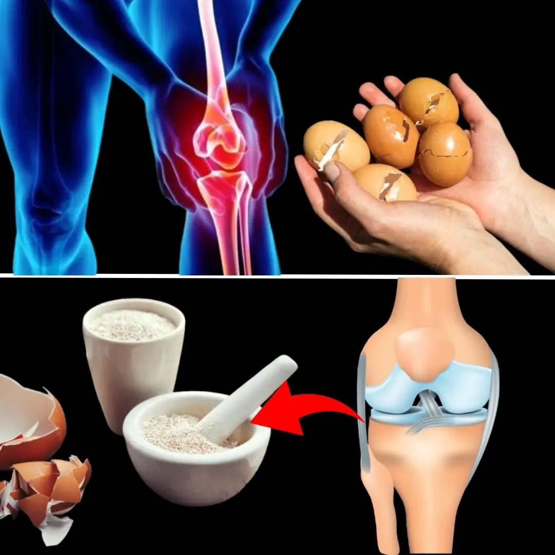 Don’t Ever Throw Away Eggshells Again After Reading This – You Won’t Believe How Useful They Are!