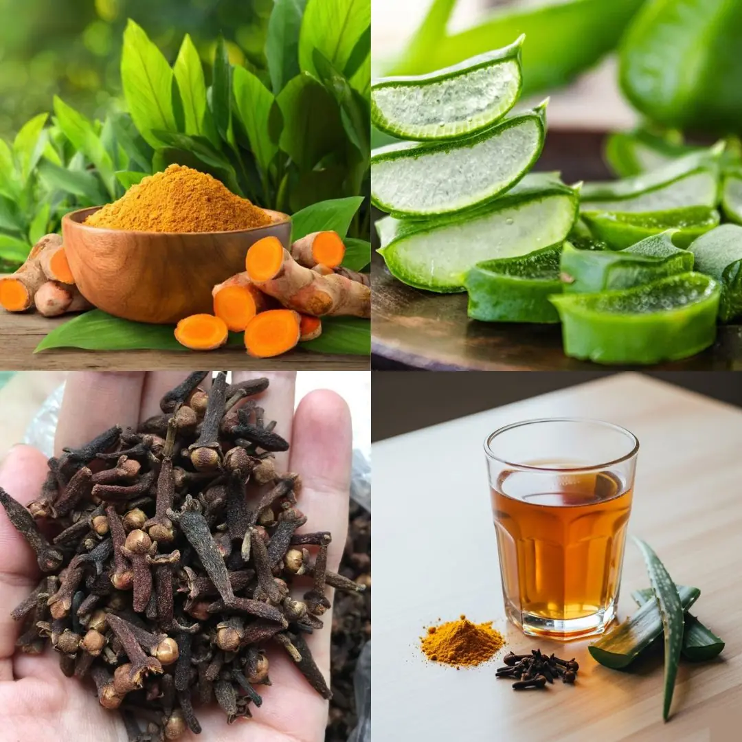 Dr. Frank Suárez’s Home Remedy: Supports Relief from Cancer, Diabetes, High Blood Pressure, and Poor Circulation