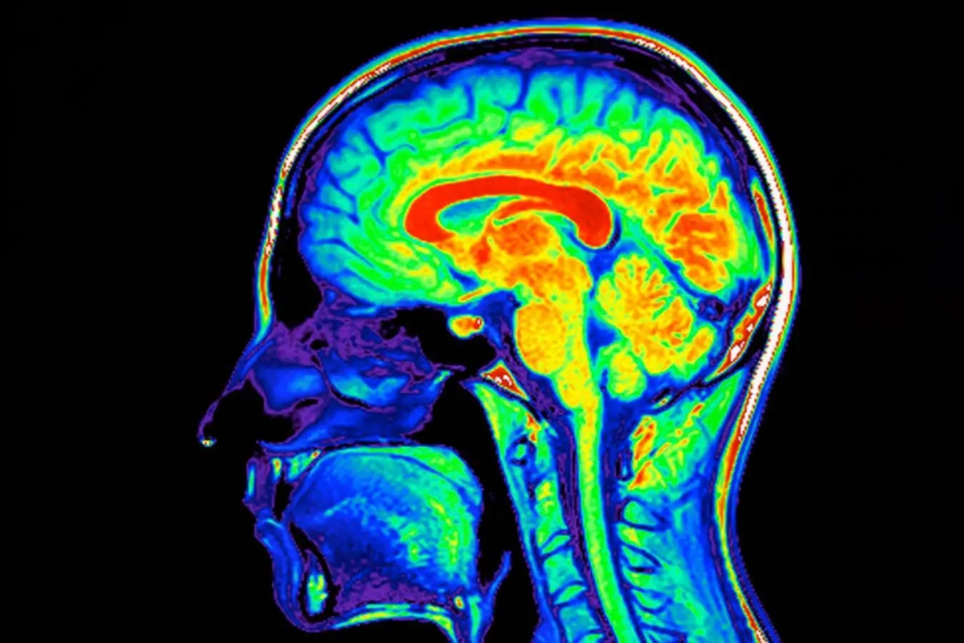 Massaging The Neck And Face May Be Helping Flush Waste Out of the Brain