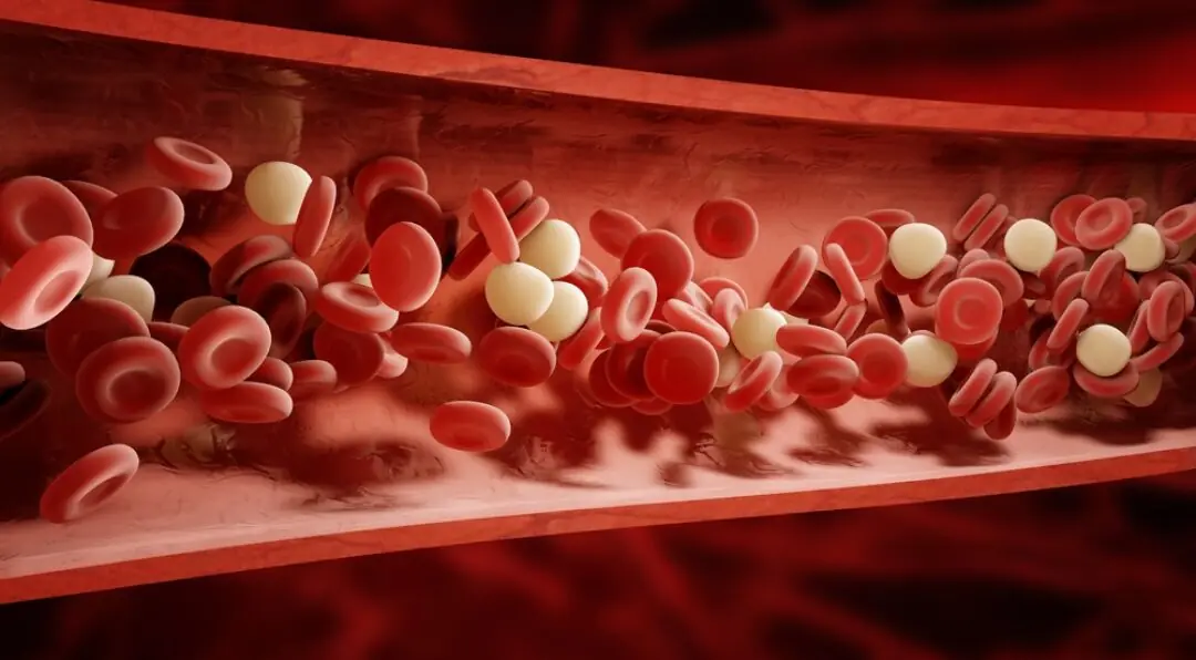 Nature's Anticoagulants: Exploring Foods, Supplements, and Vitamins for Healthier Blood