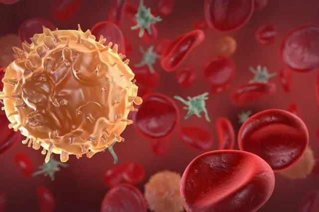 People with Cancer Often Share 3 Common Morning Signs, Especially After Age 40