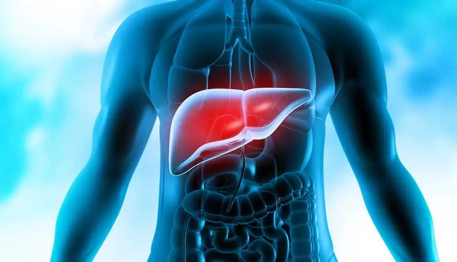 Liver Damage: 12 Warning Signs & How to Naturally Boost Liver Health