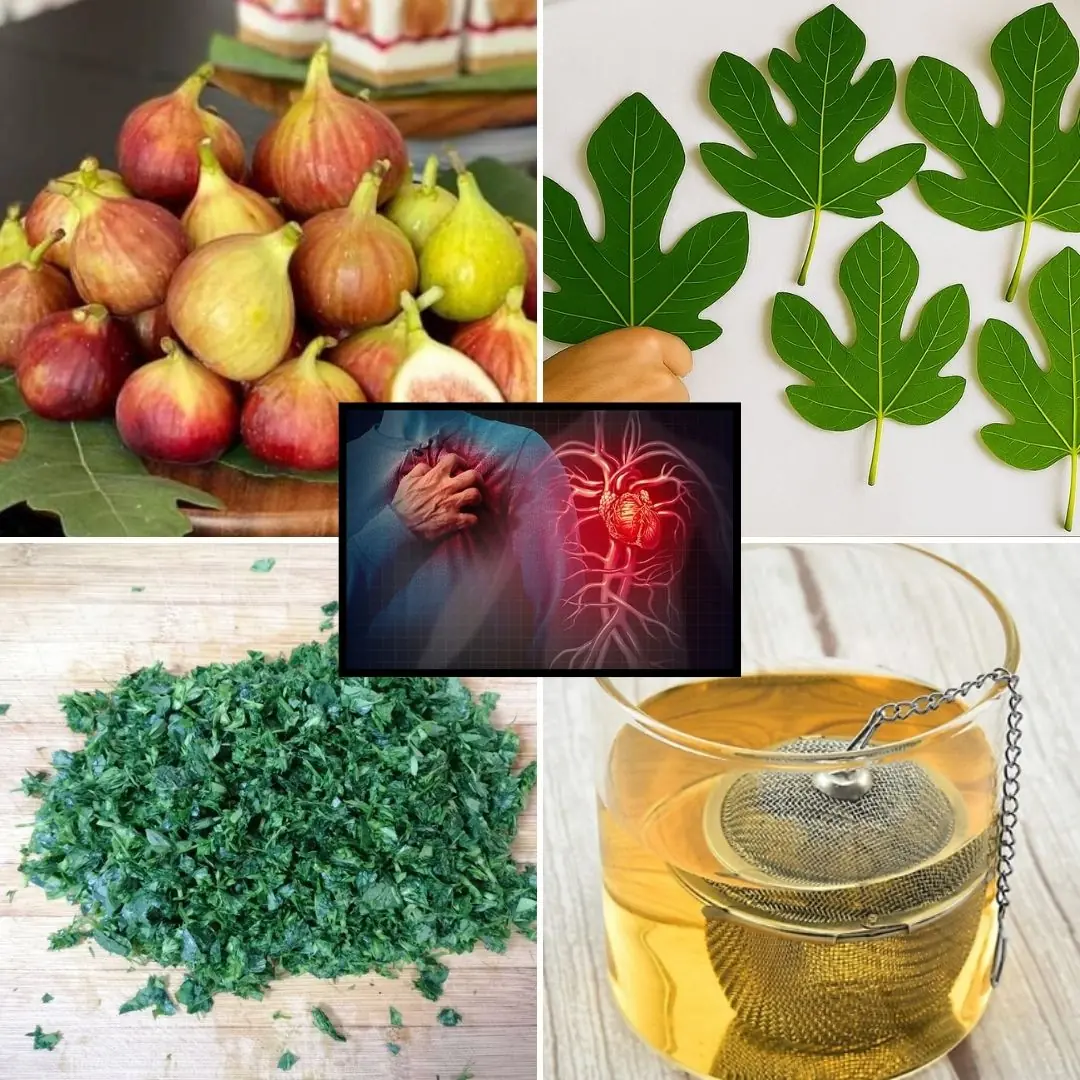 If You Have Fig Leaves, You Have Gold: Discover Their Hidden Health Benefits