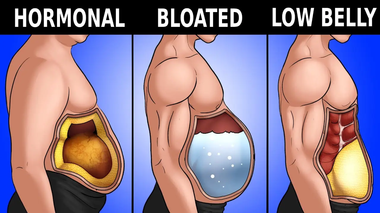 Science-Backed Strategies: How to Lose Lower Belly Fat for a Healthier You