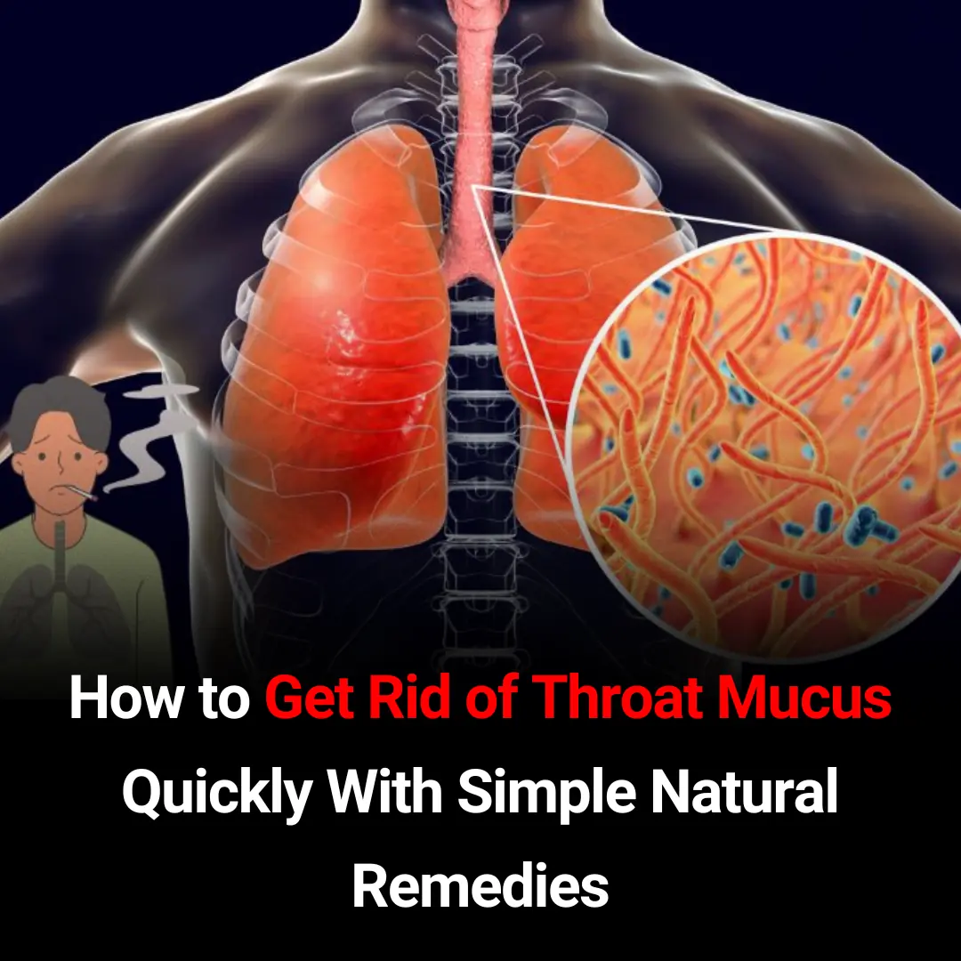 Get Rid of Throat Mucus Faster: Science-Backed Home Treatments