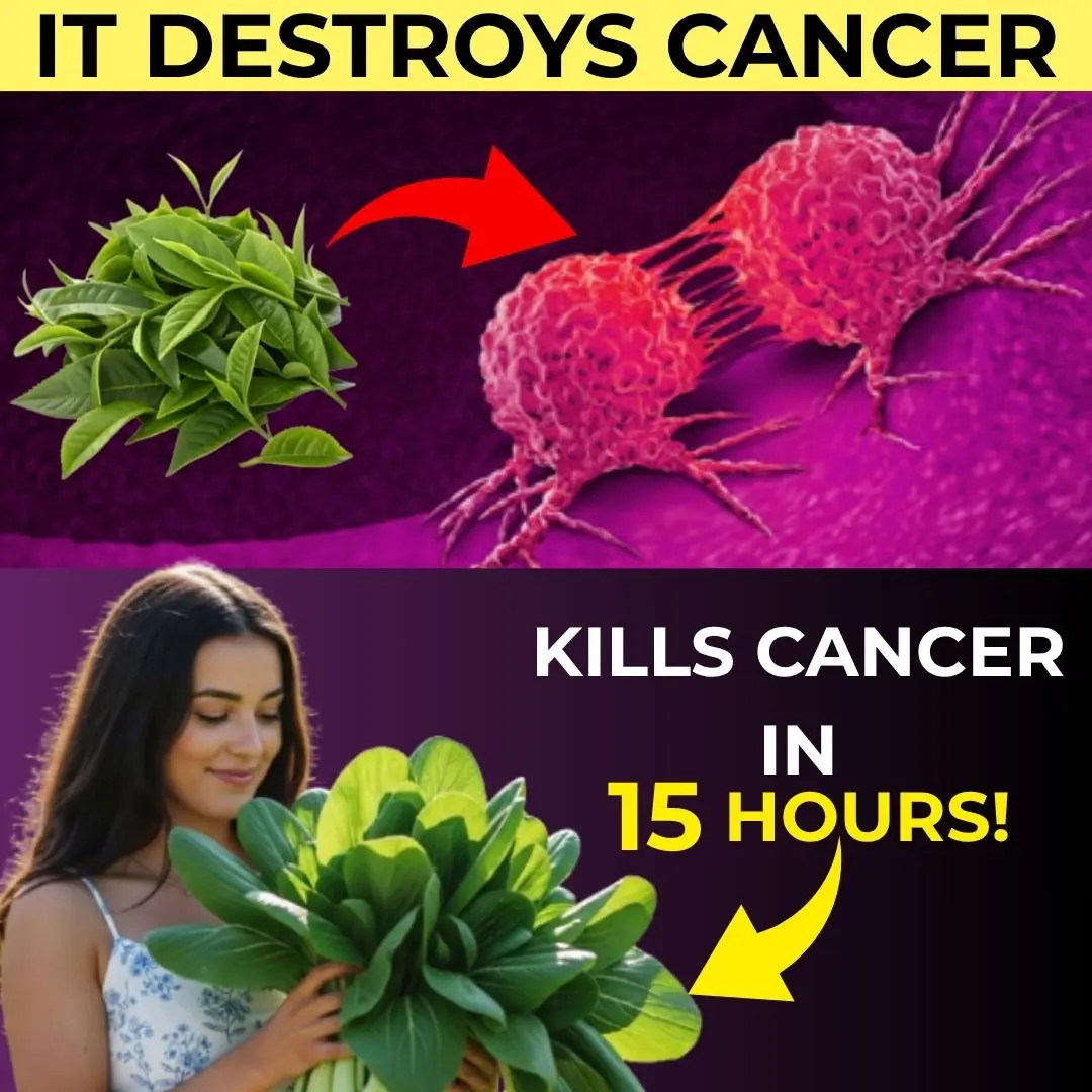 🌿 The Leaf That Destroys Cancer Cells – Why No One Is Talking About It | Barbara O’Neill’s Natural Approach