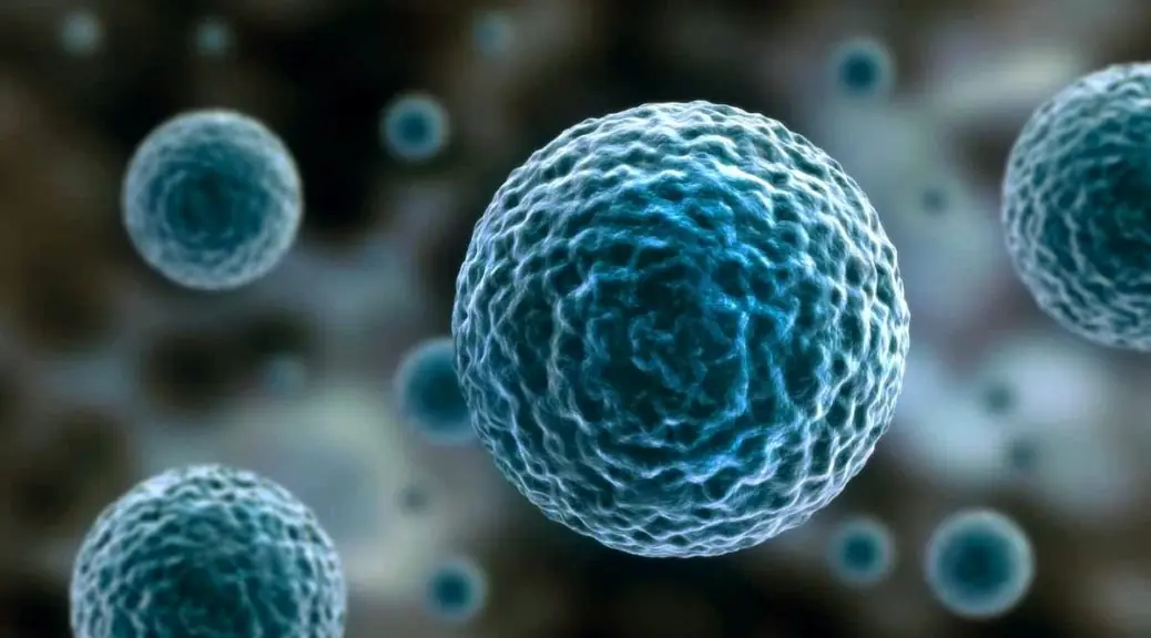 Both Mother and Child Died of Liver Cancer. Doctors Warn: 3 Things You Should Never Put in Your Congee