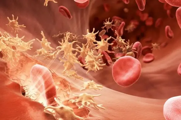 Parents’ Common Feeding Habit Leads to Stomach Cancer in 2-Year-Old Boy