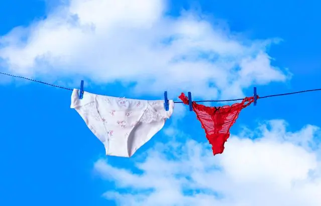 The Little Bow: Unraveling the Mystery on the Front of Women's Underwear