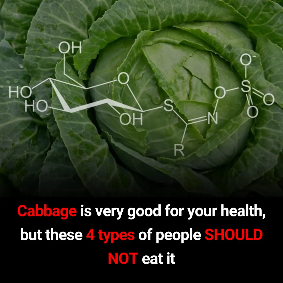 4 Types of People Who Should Limit or Avoid Eating Cabbage
