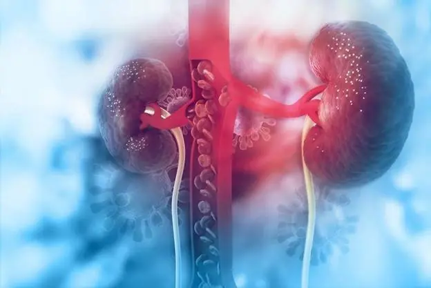 8 Signs of Kidney Failure You Should Never Ignore: Bad Breath Even After Brushing Could Be a Warning