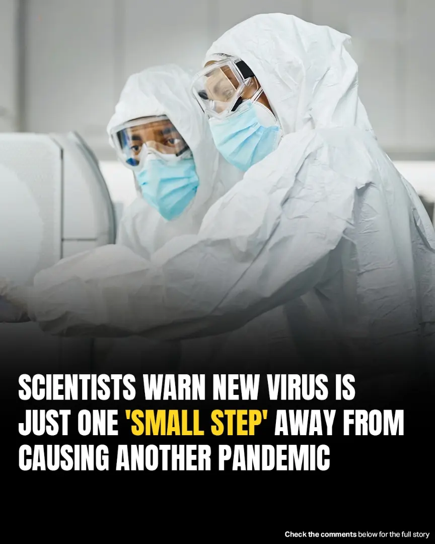 Scientists Warn China-Identified Bat Virus Just One Mutation Away From Sparking Global Pandemic