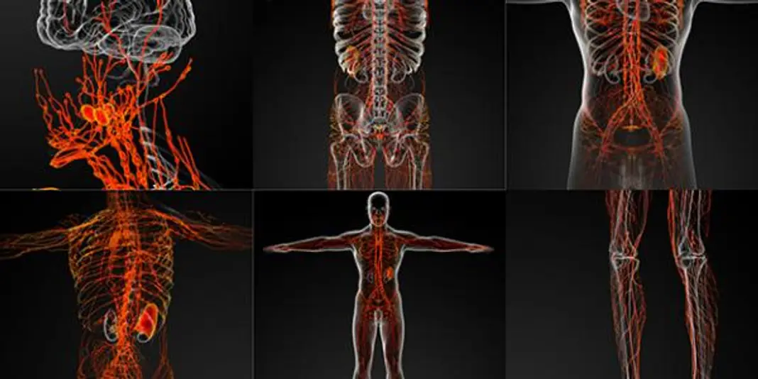 10 Effective Ways to Boost Your Lymphatic System Health