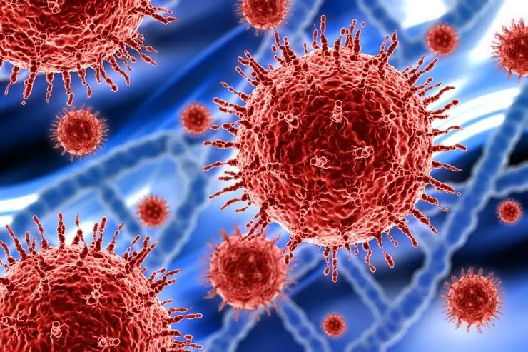 Warning Signs in Your Stool That May Indicate Colon Cancer: Seek Medical Attention Immediately