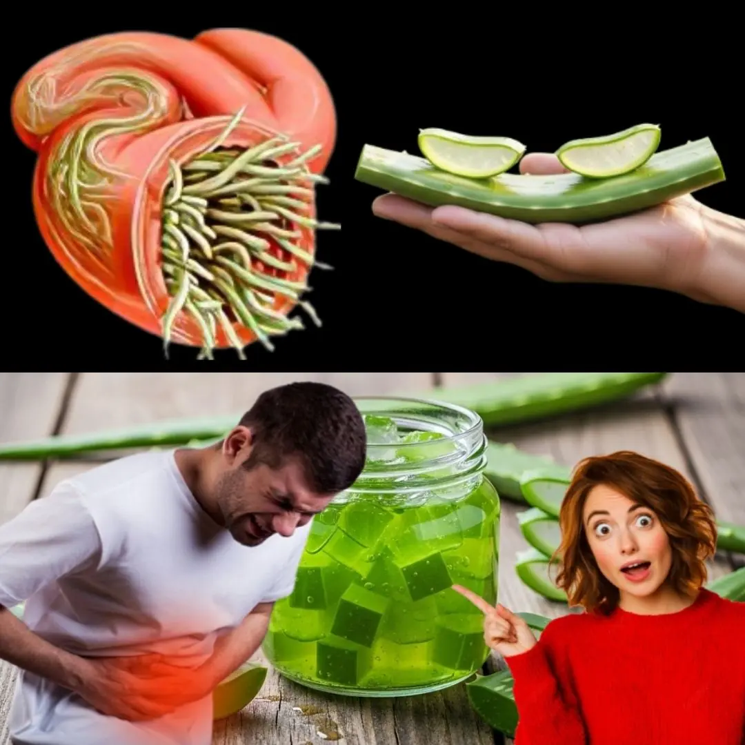 Most People Ignore Aloe VeraβUntil They Face One of These 16 Problems