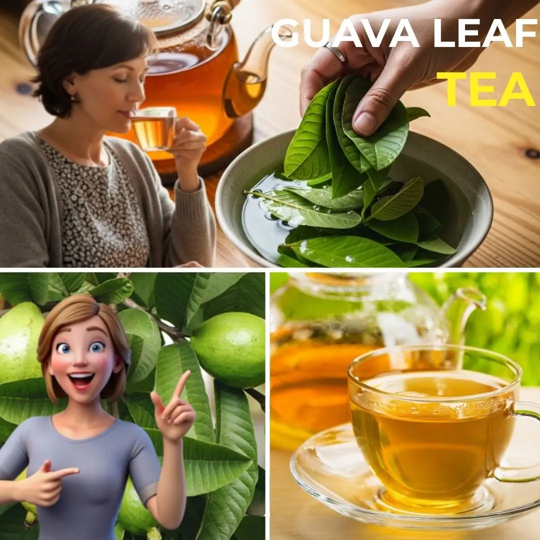 Discover the Magic of Guava Leaf Tea: Your Secret to Vibrant Health