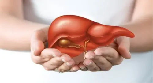 Health Experts Suggest 7 Ways to Detox Your Liver and Cleanse Your Body Daily