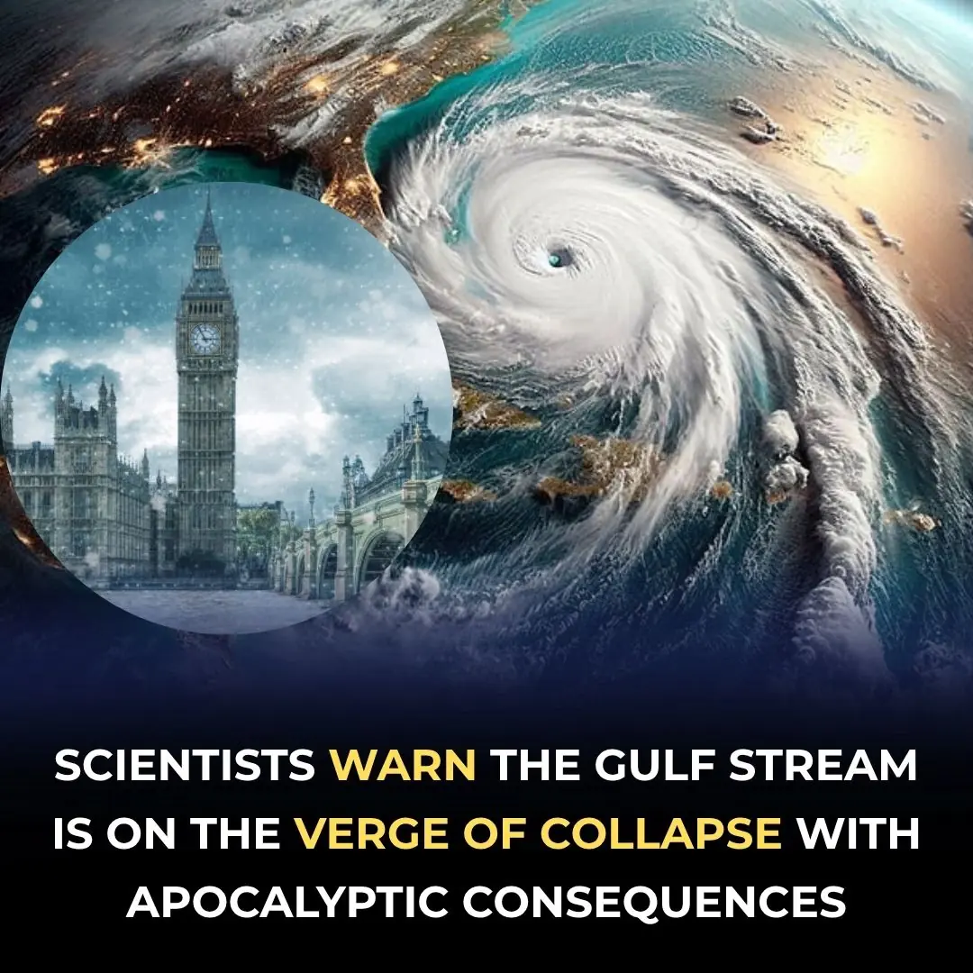 Gulf Stream On The Brink Of Collapse — Scientists Warn Of Global Catastrophe