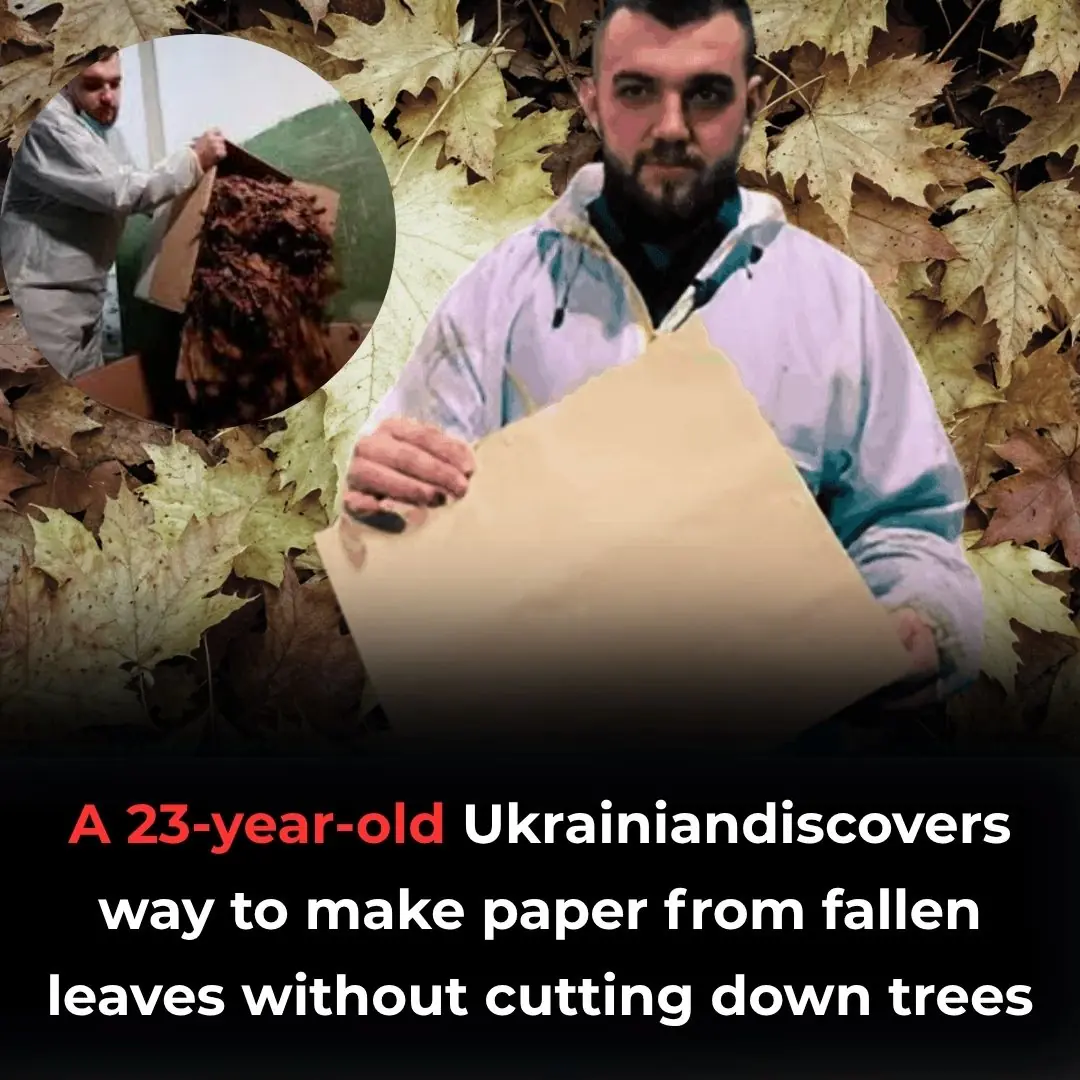 23-Year-Old Ukranian Discovers Way To Make Paper From Fallen Leaves Without Cutting Down Trees
