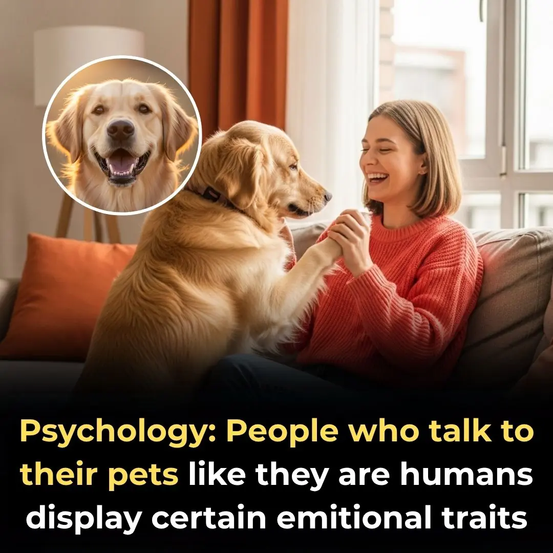 Psychology: People Who Talk To Their Pets Like They Are Humans Display Certain Emotional Traits
