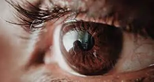Your Eyes: Windows to Your Health – Uncovering Diabetes and Cancer Through Vision