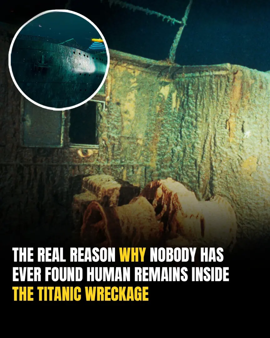 People Are Only Now Learning The Horrifying Explanation For Why The Titanic’s Wreckage Has No Remains