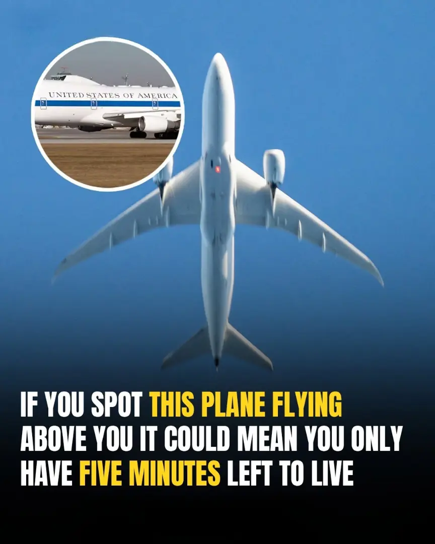 Why You Might Only Have Five Minutes To Live If You See This Plane In The Sky