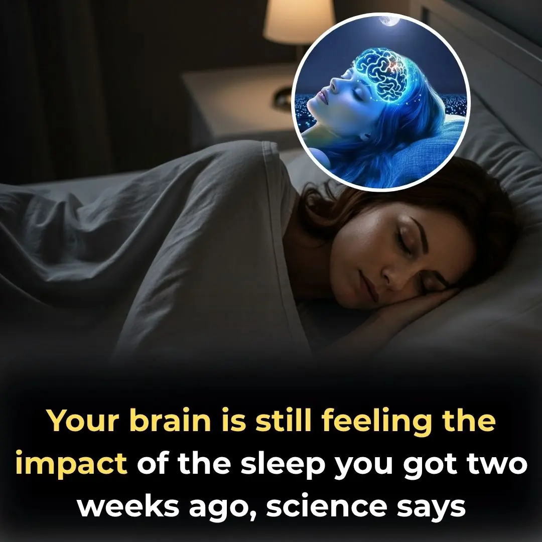 Your Brain Is Still Feeling the Impact Of The Sleep You Got Two Weeks Ago, Science Says