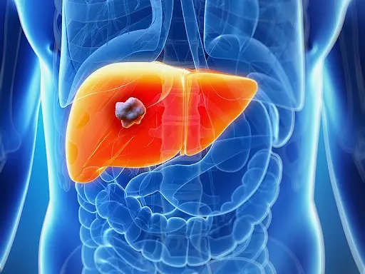 5 Early Signs of Liver Failure: Seek Medical Help Early to Prolong Life – Number 2 Is Especially Common