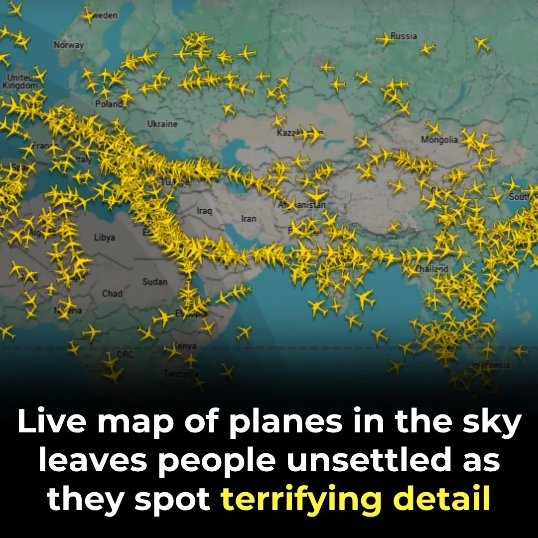 Live Plane Map Reveals Eerie, Skull-Like Shape That’s Making People Uneasy