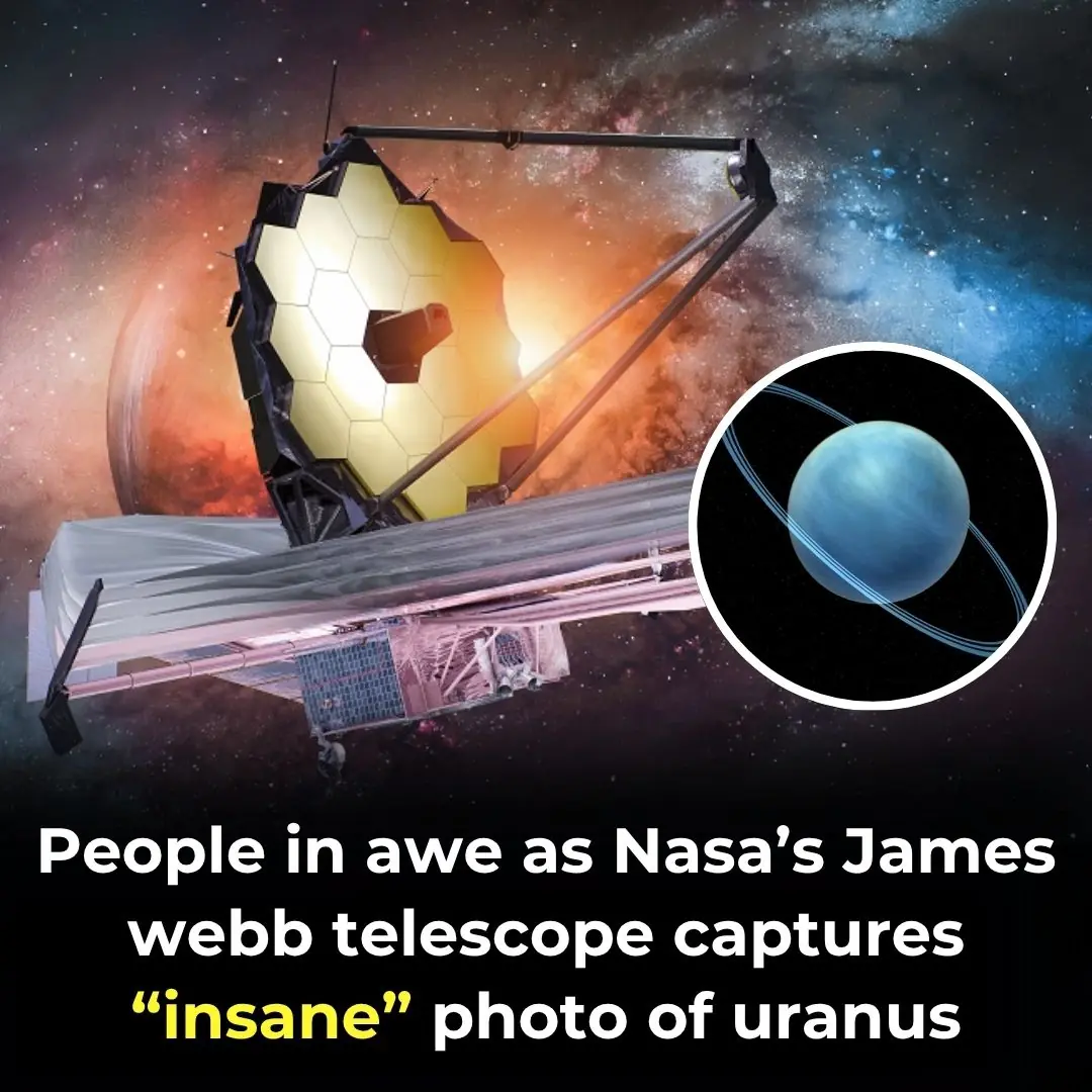 James Webb Telescope Unveils Uranus’s Hidden Features In Striking Infrared Photo