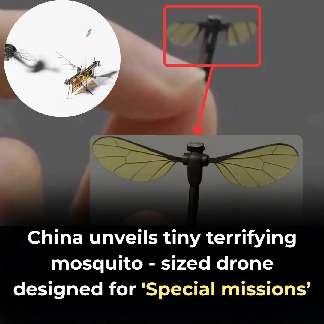 China Unveils Terrifying Mosquito-Sized Spy Drone For Covert Missions