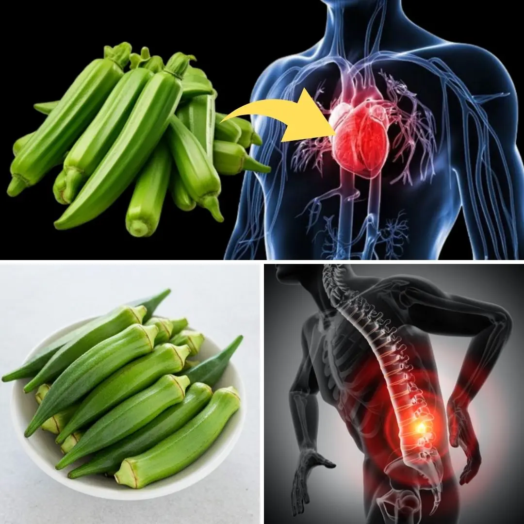 🌿 OKRA BENEFITS – 20 Impressive Health Benefits of Okra You Need to Know!