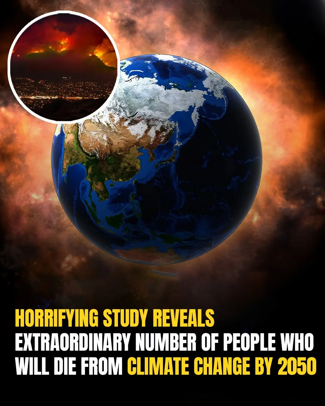 2050 Climate Crisis Death Toll Could Be Catastrophic, Researchers Warn